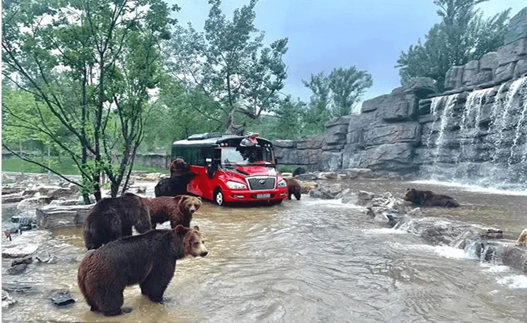 北京——北京野生动物园